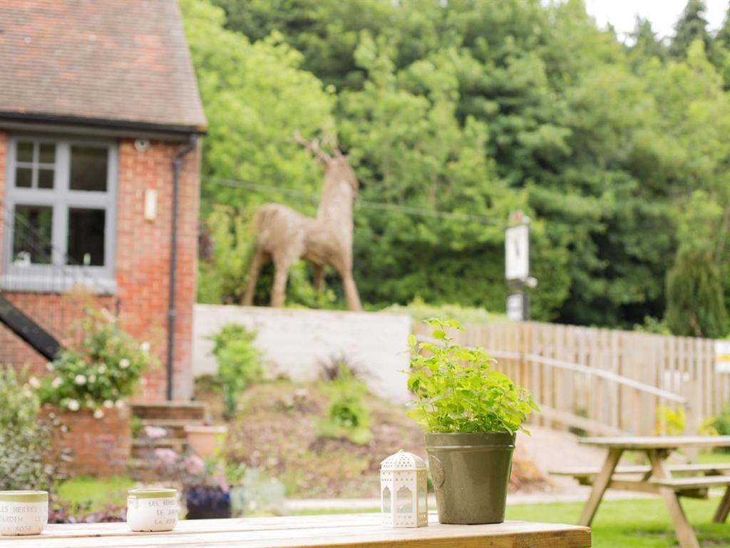 The Roebuck Inn Shedfield Esterno foto